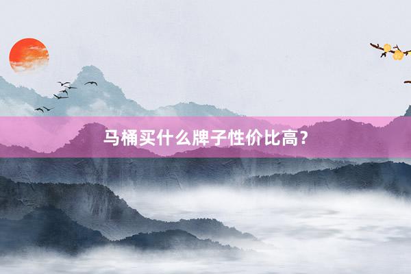 马桶买什么牌子性价比高？