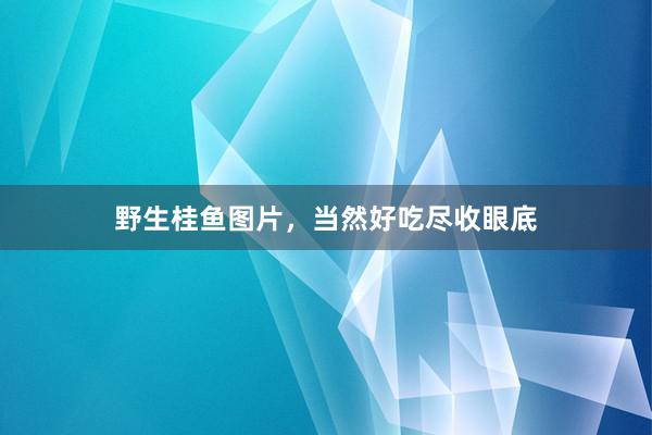 野生桂鱼图片，当然好吃尽收眼底